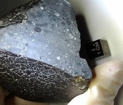 2억km 밖 화성에서 온 운석..'블랙뷰티'의 고향을 찾아냈다