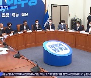 민주당 당헌 개정 갈등..'이재명 방탄' 논란 가열