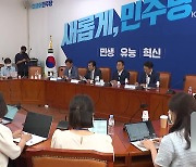 민주, '당헌 개정' 의결.."국민 여론은 반대 48.8%"