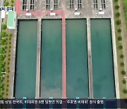 전국 정수장 27곳서 깔따구 유충..창원·수원 '관리 부실'