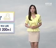 [날씨] 대전·세종·충남 내일 아침까지 '짙은 안개' 주의..가시거리 200m↓