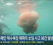 강원 동해안 해수욕장 해파리 쏘임 사고 98건 발생