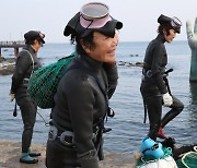 경북 해녀·해남의 삶, 올해부터 국가 공식통계로 기록된다