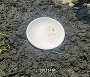 강원 영월에서도 정수에서 깔따구 유충 발견..수원·창원 역학조사 결과 '정수 설비 고장' 이유