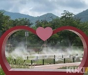 양구군, 생활밀착형숲 '실외정원' 조성 완료