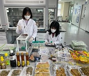 광주광역시 보건환경연구원 추석 성수식품 안전성 검사