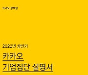 134개 계열사 거느린 카카오, 태반은 '콘텐츠 기업'