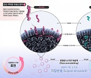 "맞춤형 인공세포 저장능력 30배↑"..'비스포크 인공세포 소기관' 개발