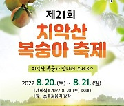 원주시, 20~21일 치악산 복숭아 축제 개최