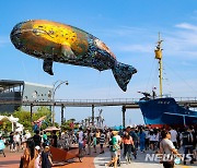 울산고래축제 댄스경연·가요제 참가자 모집