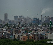 독립기념일 축하 연 날리는 뉴델리 사람들