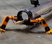 왜 뱀만 다리가 없지?..뱀이 타고 걷는 로봇 발명(영상)