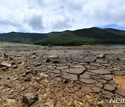 중부 물난리인데..영·호남은 댐 11곳 '가뭄' 더 심해졌다