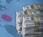 조세회피처 자금 국내유입 급증..케이맨제도 韓투자액, 美 이어 2위