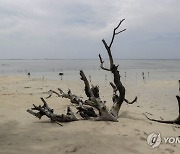 INDONESIA PHOTO SET CLIMATE CHANGE