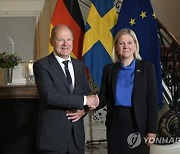 SWEDEN GERMANY DIPLOMACY