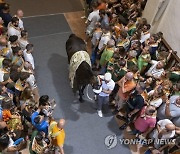 ITALY TRADITIONS SIENA PALIO RACES