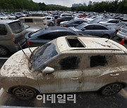 [포토]폭우에 속절없이 침수된 차량들