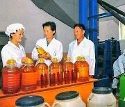 '해바라기'로 기름 생산하는 북한.."백 가지 덕 주는 보물"