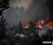 포르투갈서 스페인까지 대형 산불..건조한 날씨 이어져 진압 안돼