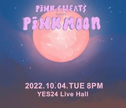 핑크스웨츠, 5개월 만에 한국온다..10월 내한공연 개최