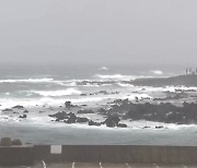 [날씨] 남해안·제주 호우, 중부 소나기..내륙 30도 더위
