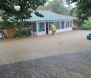 강원 영동 시간당 80mm 폭우..주택 침수 등 피해 잇따라