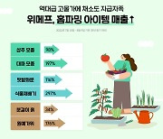 "상추·대파 직접 키워요"..고물가에 채소도 자급자족 뜬다