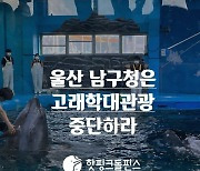 환경단체, 서동욱 울산 남구청장에게 '고래 학대 관광' 중단 촉구