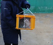 검찰, 포항 폐양어장 고양이 학대범에 징역 4년 구형