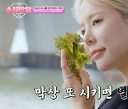소녀시대, 팀·팬들 향한 애정 드러내 뭉클한 감동 선사(소시탐탐)