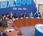 민주, '이재명 방탄 논란' 당헌 개정 '무산'..일부 절충