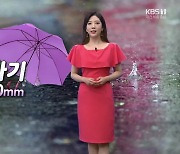 [날씨] 대전·세종·충남 곳곳 저녁까지 5~40mm 소나기..출근길 '안개' 유의