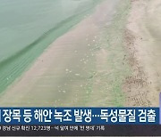 거제 장목 등 해안 녹조 발생..독성물질 검출