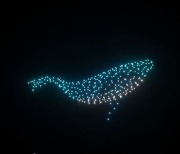 내일 서울 밤하늘에 고래 뜬다..'해양보호 위한 드론쇼'