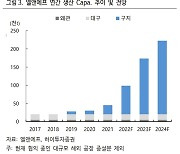 "2024년 매출액 11조원"..엘앤에프, 실적 기대감에 4%대 강세