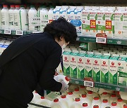 Seoul Milk's potential financial support for farmers may lead to milk price hike