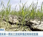 '극심한 가뭄' 중국 78만명 식수난..농작물 117만㏊ 피해