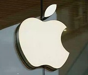 애플, 탈중국 '속도'.."베트남서 워치 · 맥북 생산 검토"
