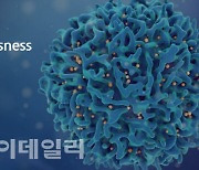 [마켓인]CAR-T 개발 큐로셀, 상장 위한 기술평가 재도전