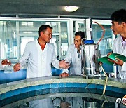 식량 해결책 '양어' 연구하는 북한 수산성 수산연구원