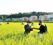 "수확고를 높여라"..'알곡 생산 투쟁' 나선 북한 농민들