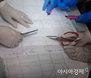 '51만 명 동시 투약'.. 태국인 '필로폰 밀수책·투약자' 무더기 검거