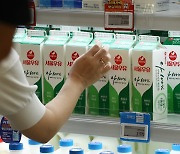 '밀크 플레이션' 촉발? 서울우유 원유가 '나홀로 인상' 난감한 정부