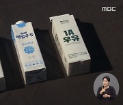 노브랜드 우유 vs 매일유업 우유, 같은 공장인데 품질도 같을까?