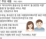 서울시, 이모·삼촌이 아이 봐줘도 '돌봄수당' 월 30만원