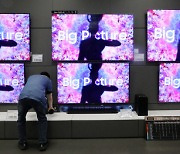 Korean tech blue chips squeezed by higher costs and weak pricing