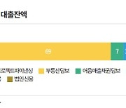 갈곳 잃은 개인투자자 '이 곳'에 돈 넣었다