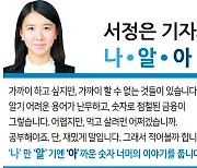 신한, KB와 '압구정 슈퍼플래그십' 대전..진옥동 행장 직접 지휘 [서정은 기자의 나·알·아]