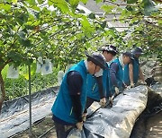 [포토] 한국원자력환경공단 임직원, 충남 부여서 수해 복구 지원 동참